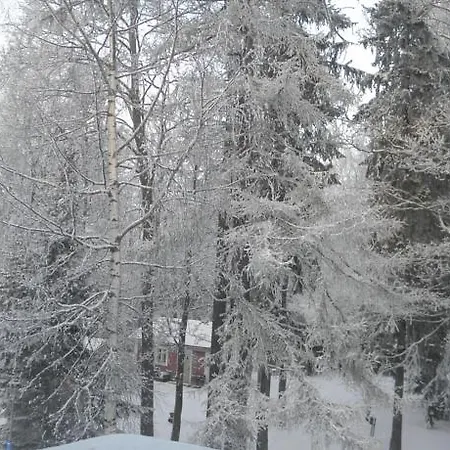 Neitsytniemen Kartano فندق مبيت وإفطار *