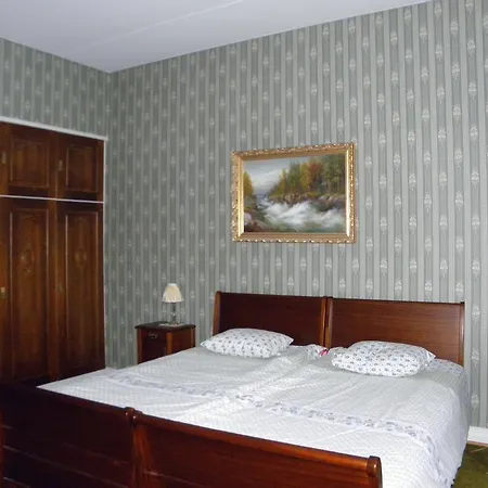 Neitsytniemen Kartano Bed & Breakfast Imatra