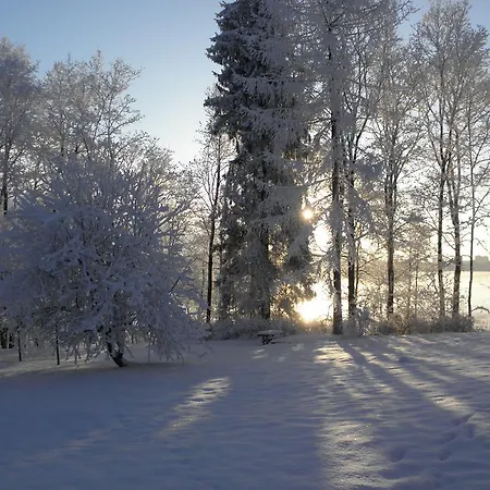 Neitsytniemen Kartano *