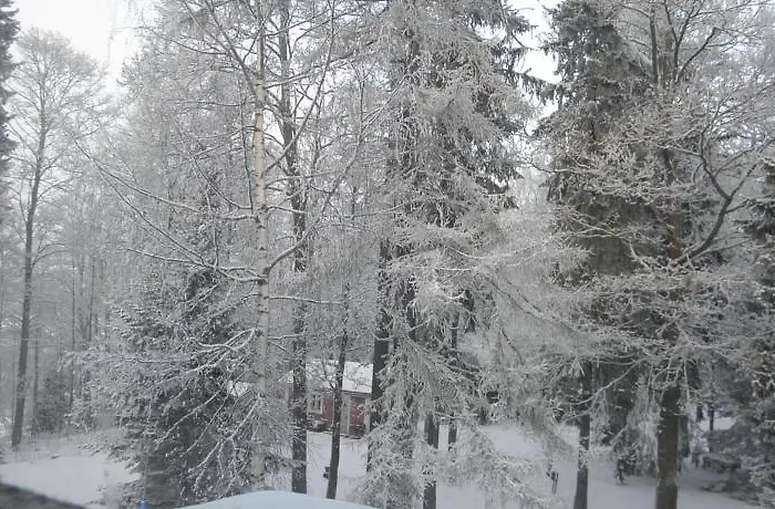 Neitsytniemen Kartano Bed & Breakfast *